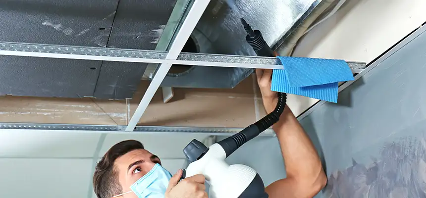 Our Air Duct Rodent Removal Services in South Houston, TX