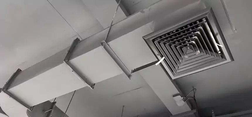 Restorative Allergy Relief Vent Cleaning – Coil, Blower & Housing Detail in South Houston