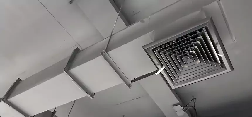 Our Rodent Droppings In Vents Services in South Houston, TX