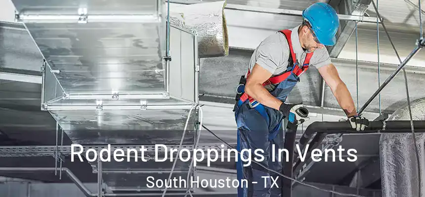  Rodent Droppings In Vents South Houston - TX