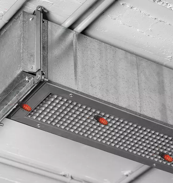 About Air Duct Cockroach Removal in South Houston, TX