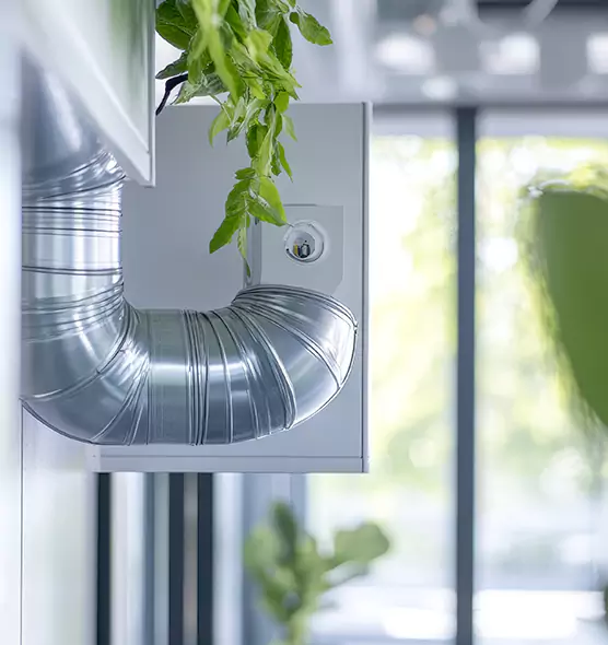 Professional Eco-Friendly Duct Cleaning Services in South Houston, TX