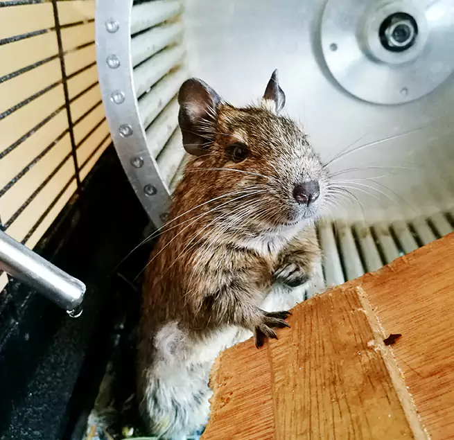 Why Homeowners & Businesses Trust Us South Houston, TX?