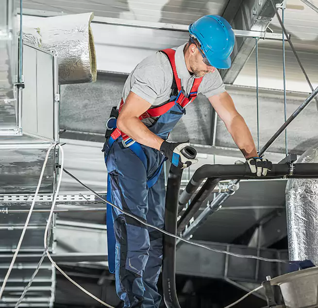 Why Homeowners & Businesses Trust Us in South Houston, TX?