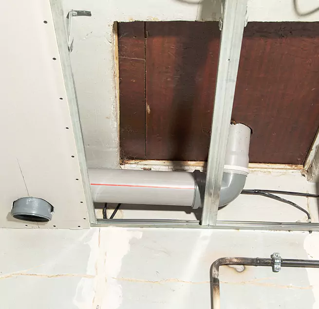 Why Homeowners & Businesses Trust Us in South Houston, TX?