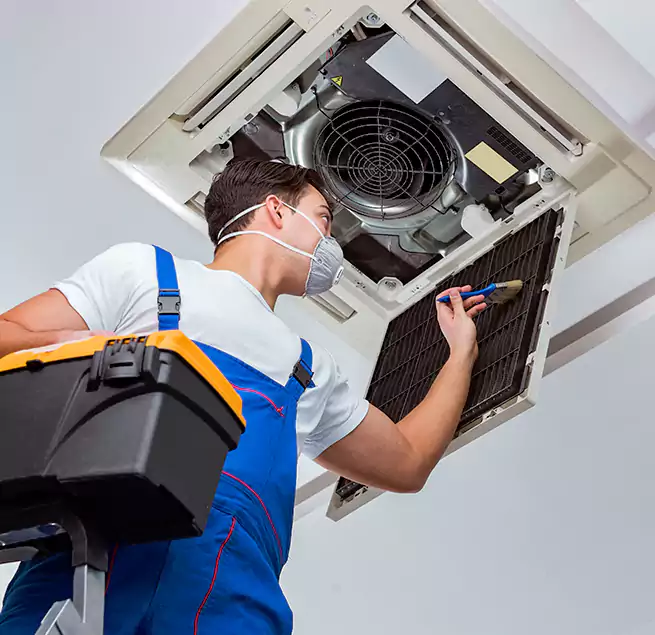 Why Homeowners & Businesses Trust Us in South Houston, TX