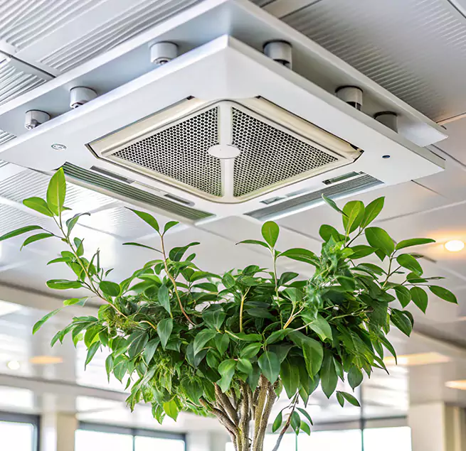 Why Homeowners & Businesses Trust Us in South Houston, TX