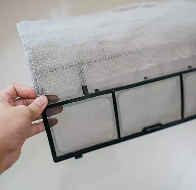 Why Homeowners & Businesses Trust Us in South Houston, TX?