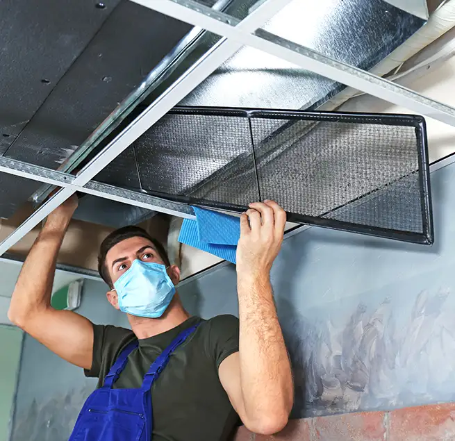 Why Homeowners & Businesses Trust Us in South Houston, TX?