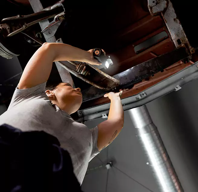 Why Homeowners & Businesses Trust Us South Houston, TX